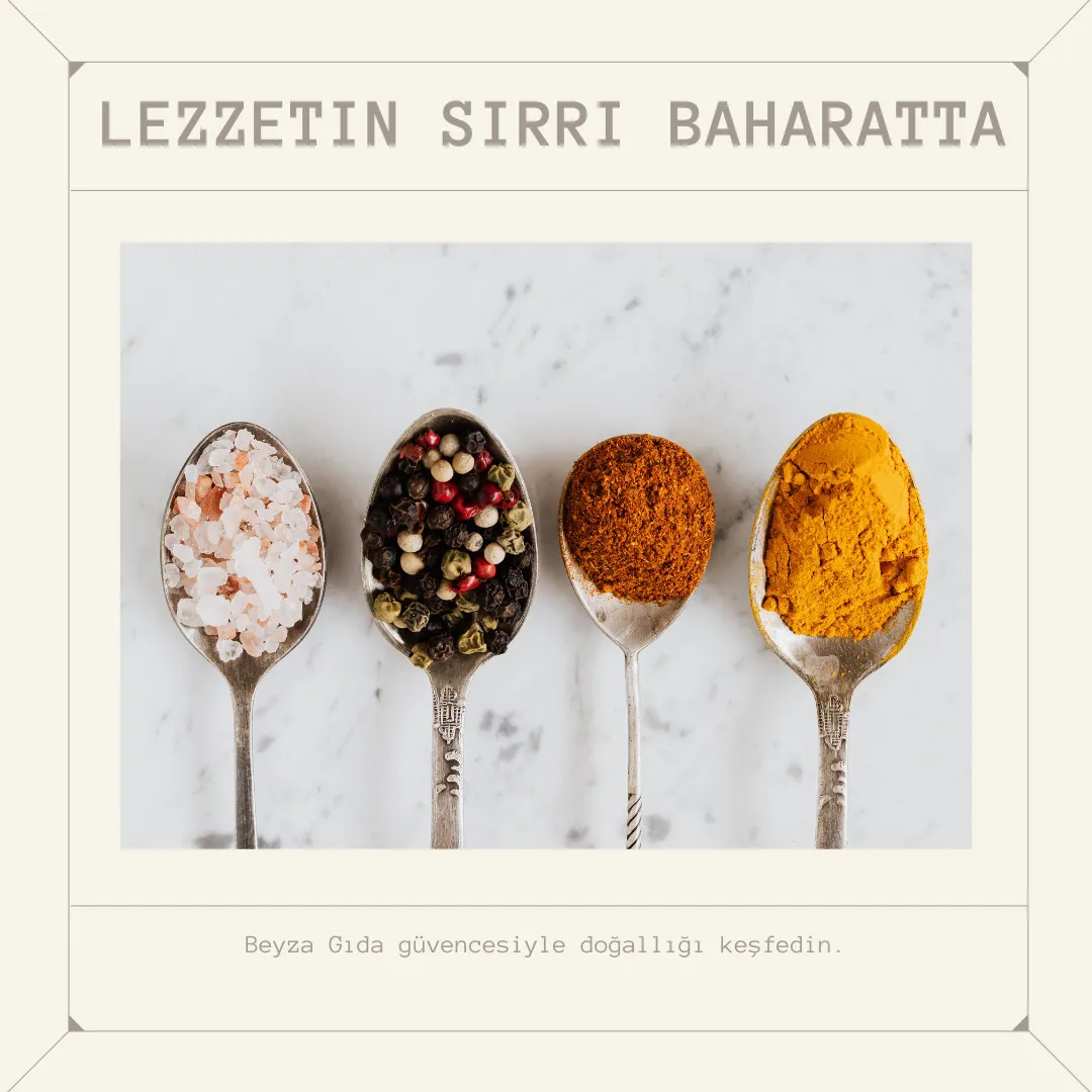 Beyza Gıda